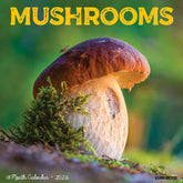 Willow Creek Press - 2026 Mushrooms Calendar