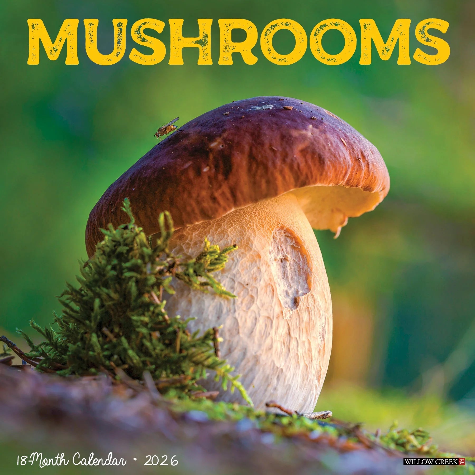 Willow Creek Press - 2026 Mushrooms Calendar