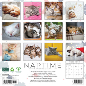 Willow Creek Press - 2026 Naptime:  A Cat's Favorite Pasttime Calendar