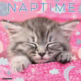 Willow Creek Press - 2026 Naptime:  A Cat's Favorite Pasttime Calendar