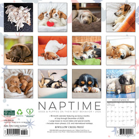 Willow Creek Press - 2026 Naptime:  A Dog's Favorite Pasttime Calendar