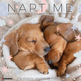 Willow Creek Press - 2026 Naptime:  A Dog's Favorite Pasttime Calendar