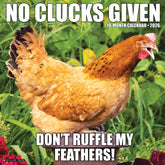Willow Creek Press - 2026 No Clucks Given Calendar