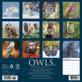 Willow Creek Press - 2026 Owls of North America Calendar
