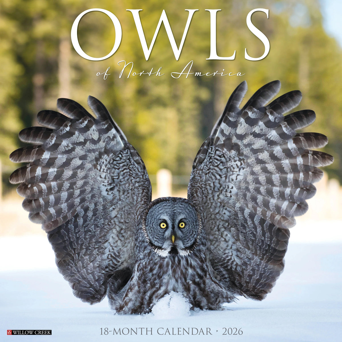 Willow Creek Press - 2026 Owls of North America Calendar