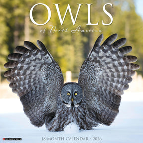 Willow Creek Press - 2026 Owls of North America Calendar