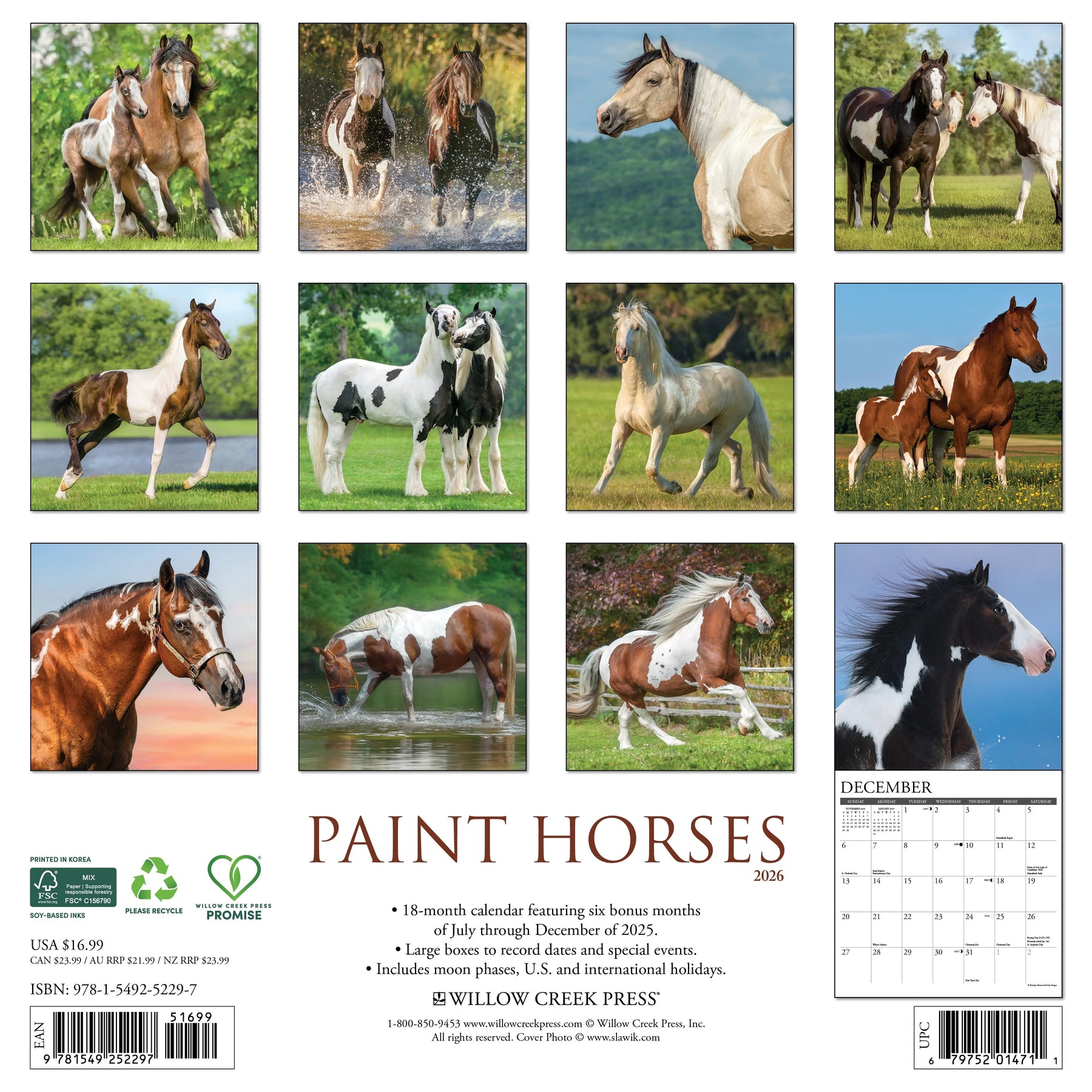 Willow Creek Press - 2026 Paint Horses Calendar