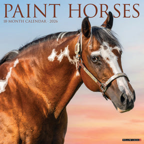 Willow Creek Press - 2026 Paint Horses Calendar