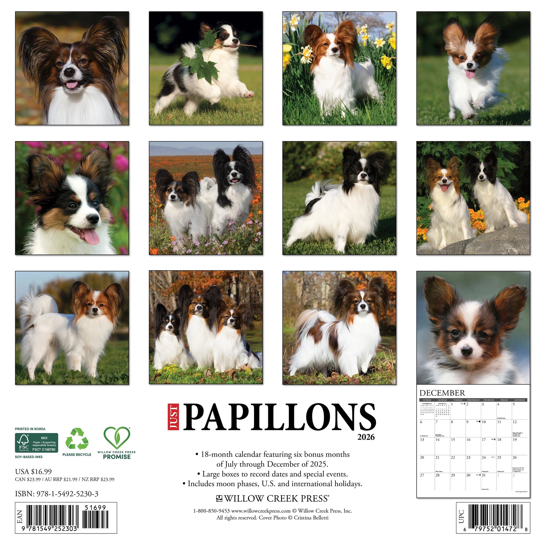 Willow Creek Press - 2026 Papillons Calendar