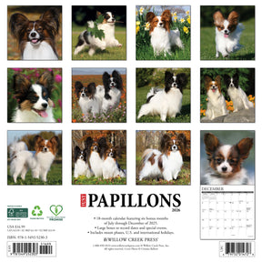Willow Creek Press - 2026 Papillons Calendar