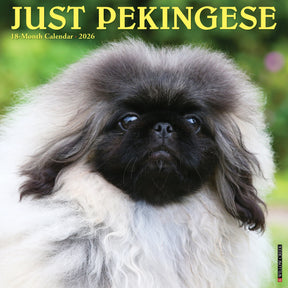 Willow Creek Press - 2026 Pekingese Calendar