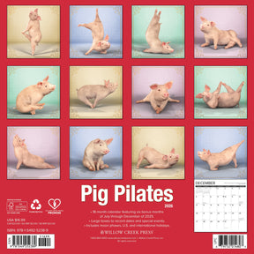 Willow Creek Press - 2026 Pig Pilates Calendar