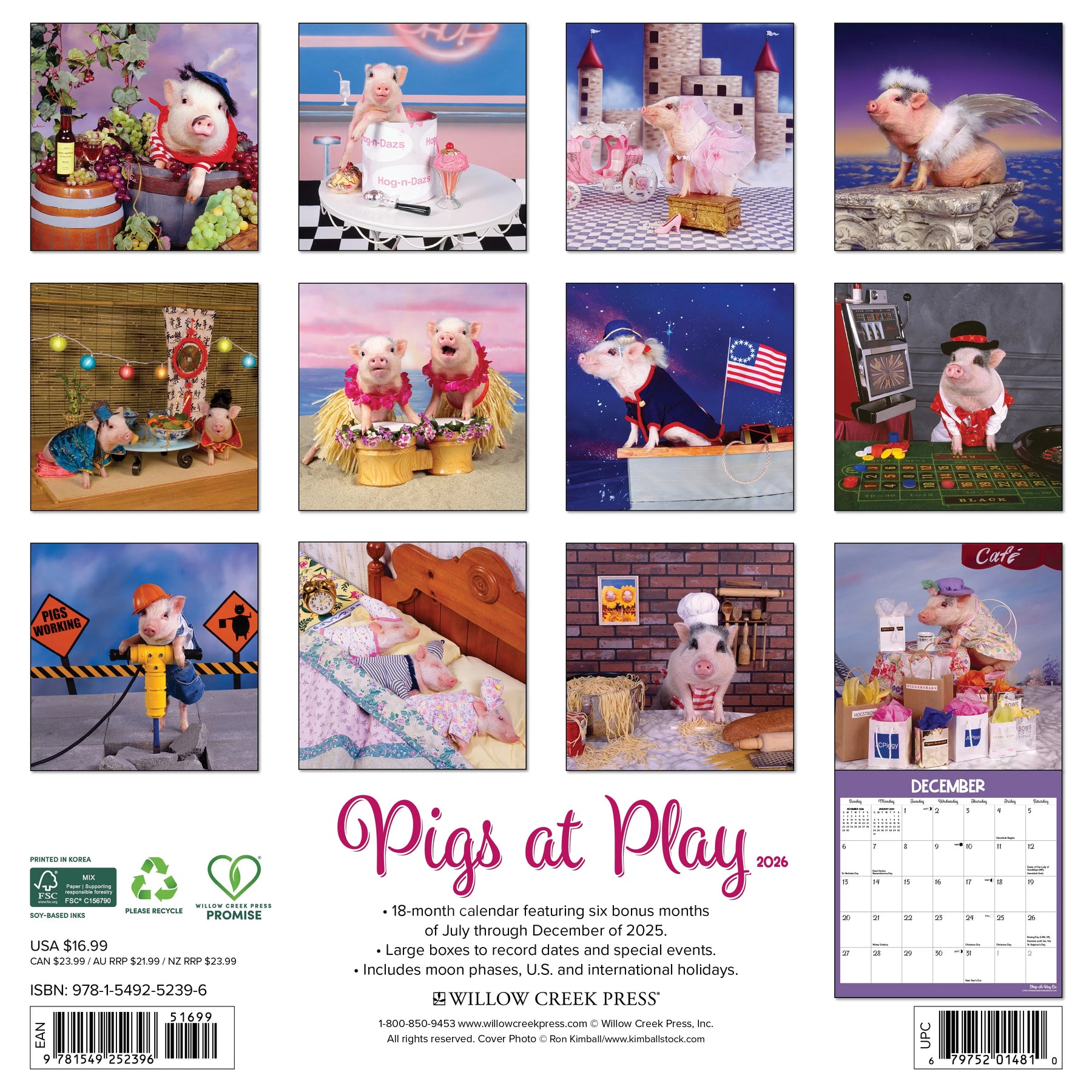 Willow Creek Press - 2026 Pigs at Play Calendar