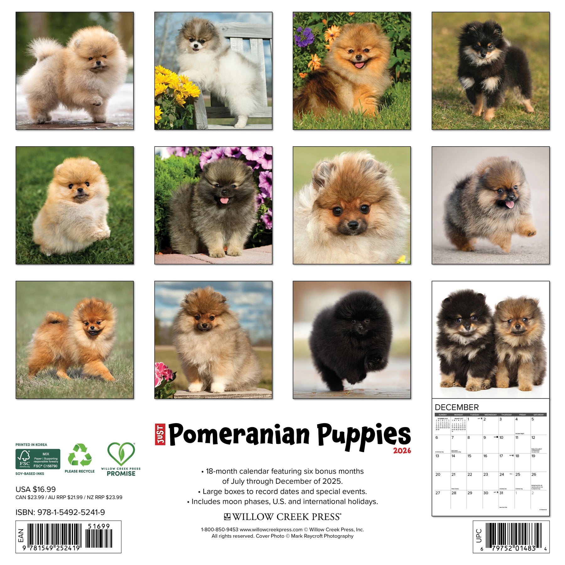 Willow Creek Press - 2026 Pomeranian Puppies Calendar