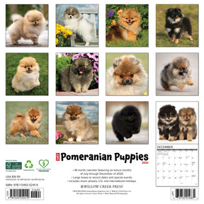 Willow Creek Press - 2026 Pomeranian Puppies Calendar