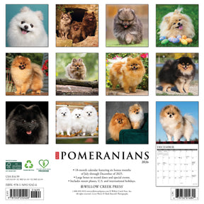 Willow Creek Press - 2026 Pomeranians Calendar