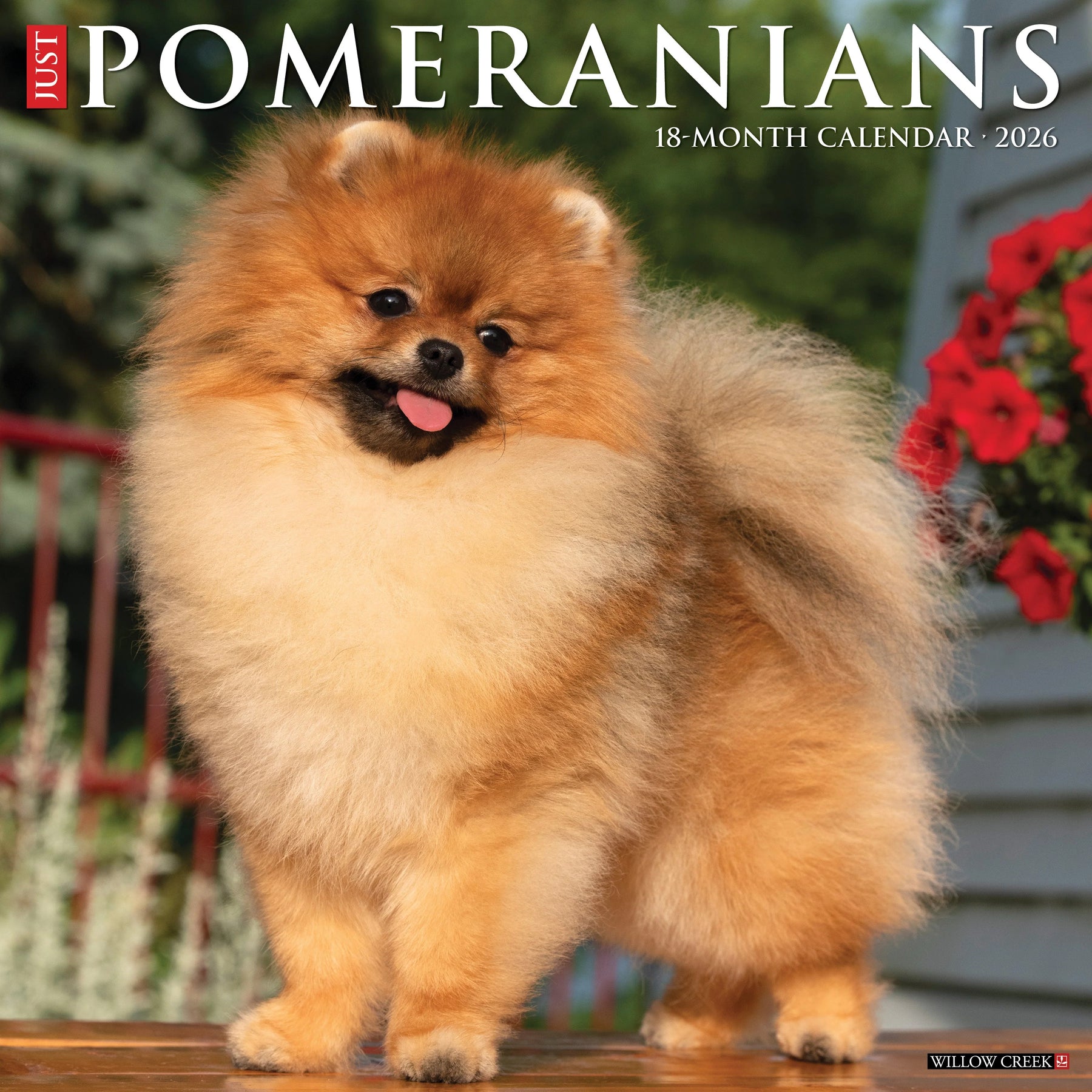 Willow Creek Press - 2026 Pomeranians Calendar