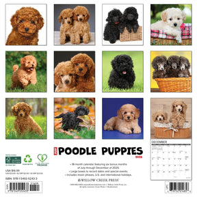 Willow Creek Press - 2026 Poodle Puppies Calendar