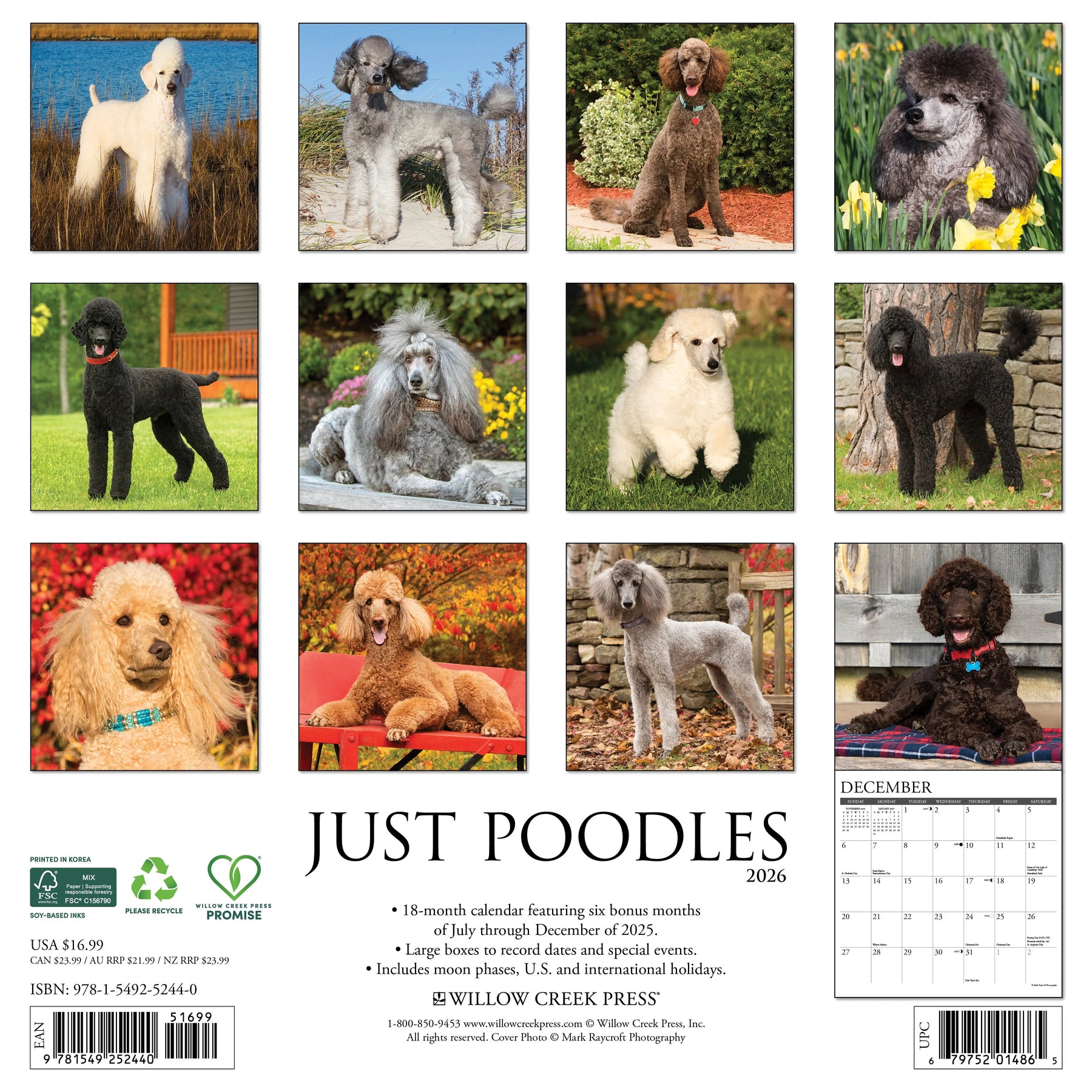 Willow Creek Press - 2026 Poodles Calendar