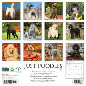 Willow Creek Press - 2026 Poodles Calendar