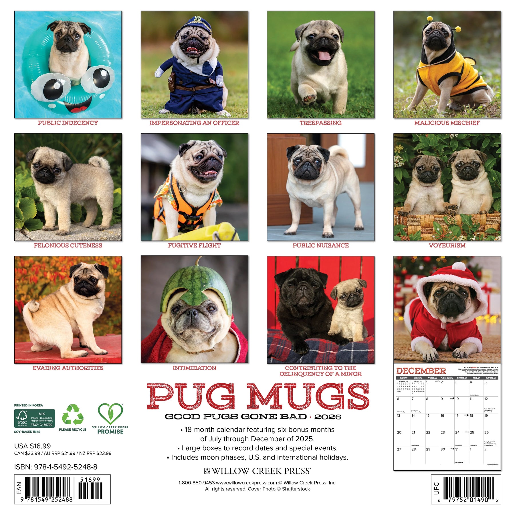 Willow Creek Press - 2026 Pug Mugs Calendar