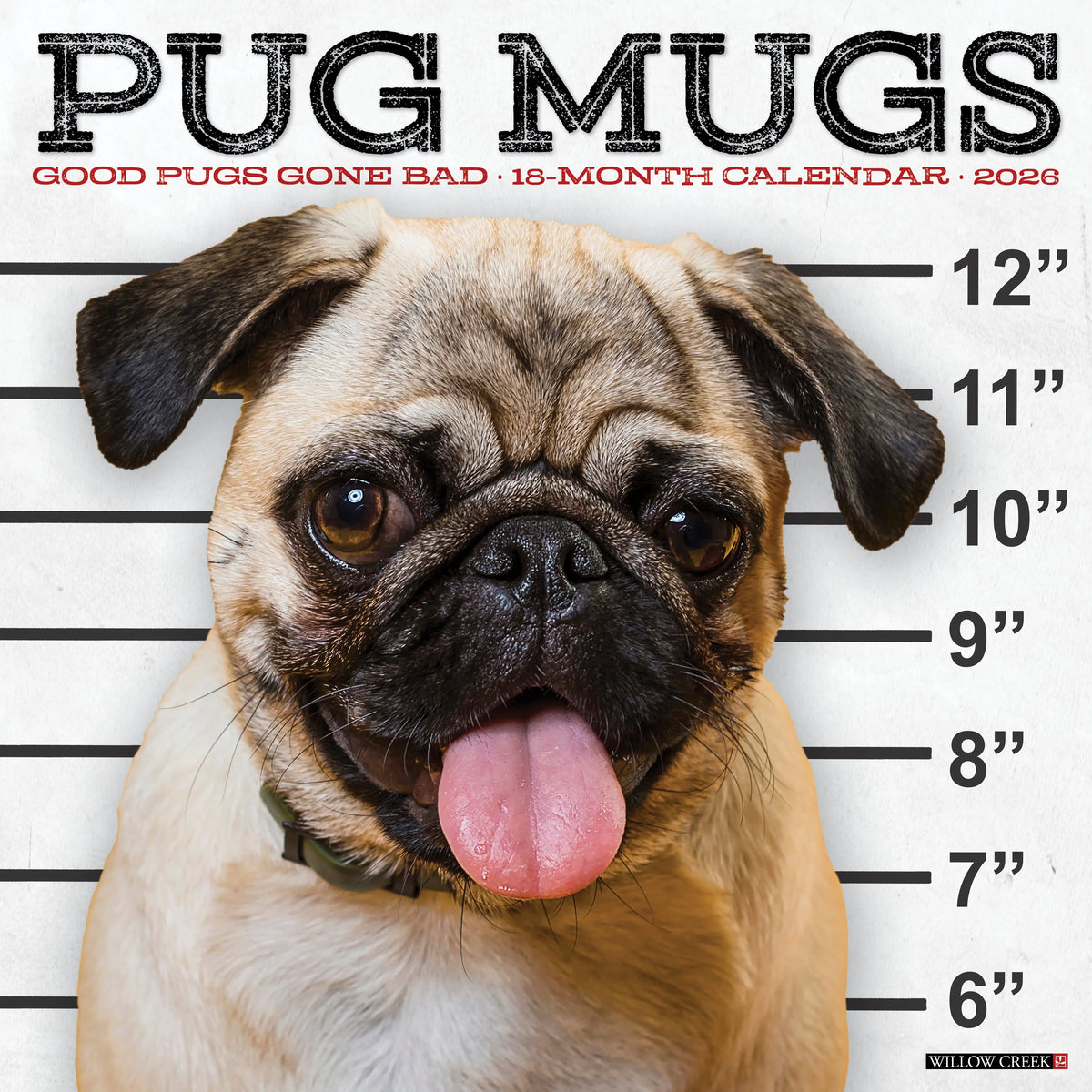 Willow Creek Press - 2026 Pug Mugs Calendar