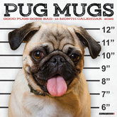 Willow Creek Press - 2026 Pug Mugs Calendar