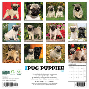 Willow Creek Press - 2026 Pug Puppies Calendar