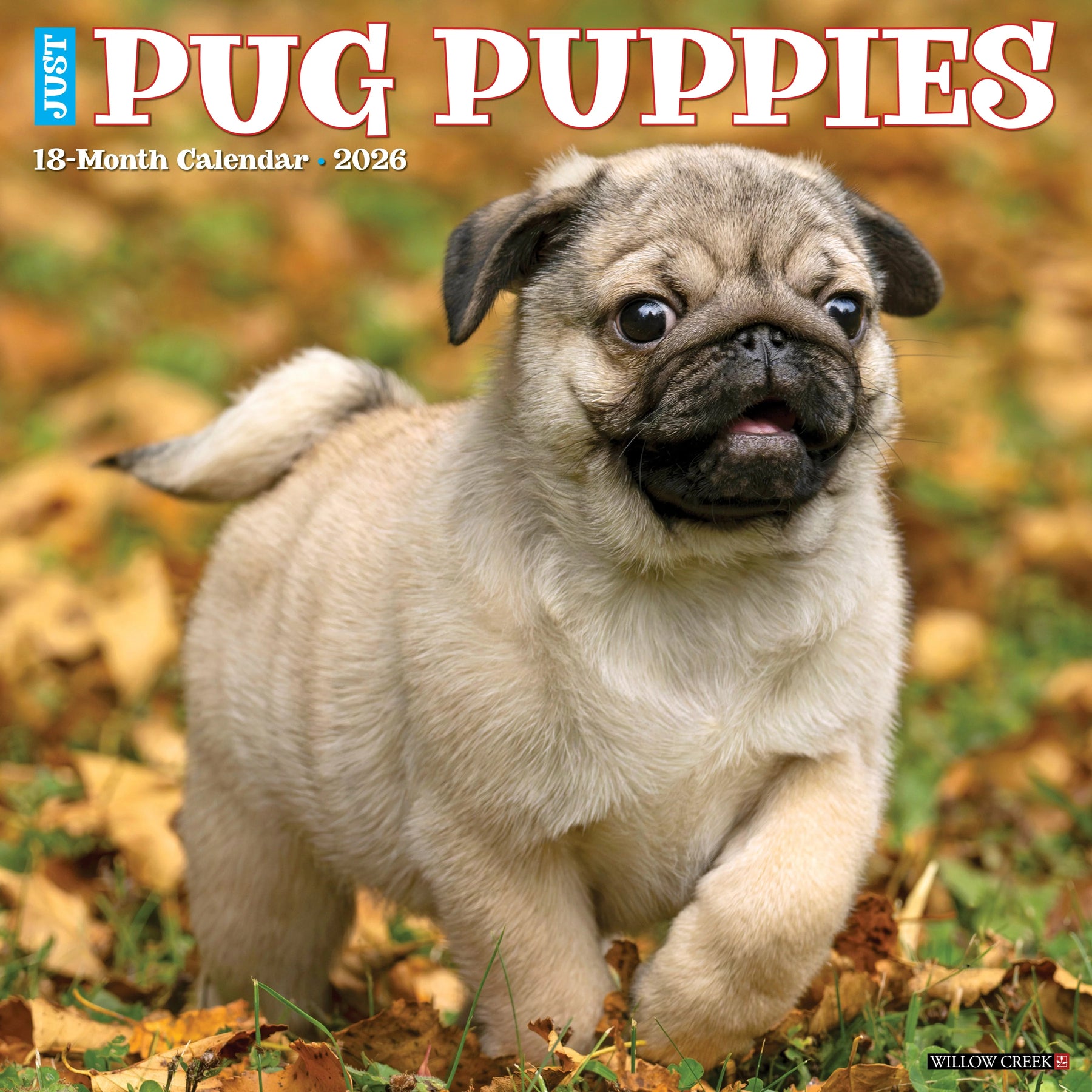 Willow Creek Press - 2026 Pug Puppies Calendar