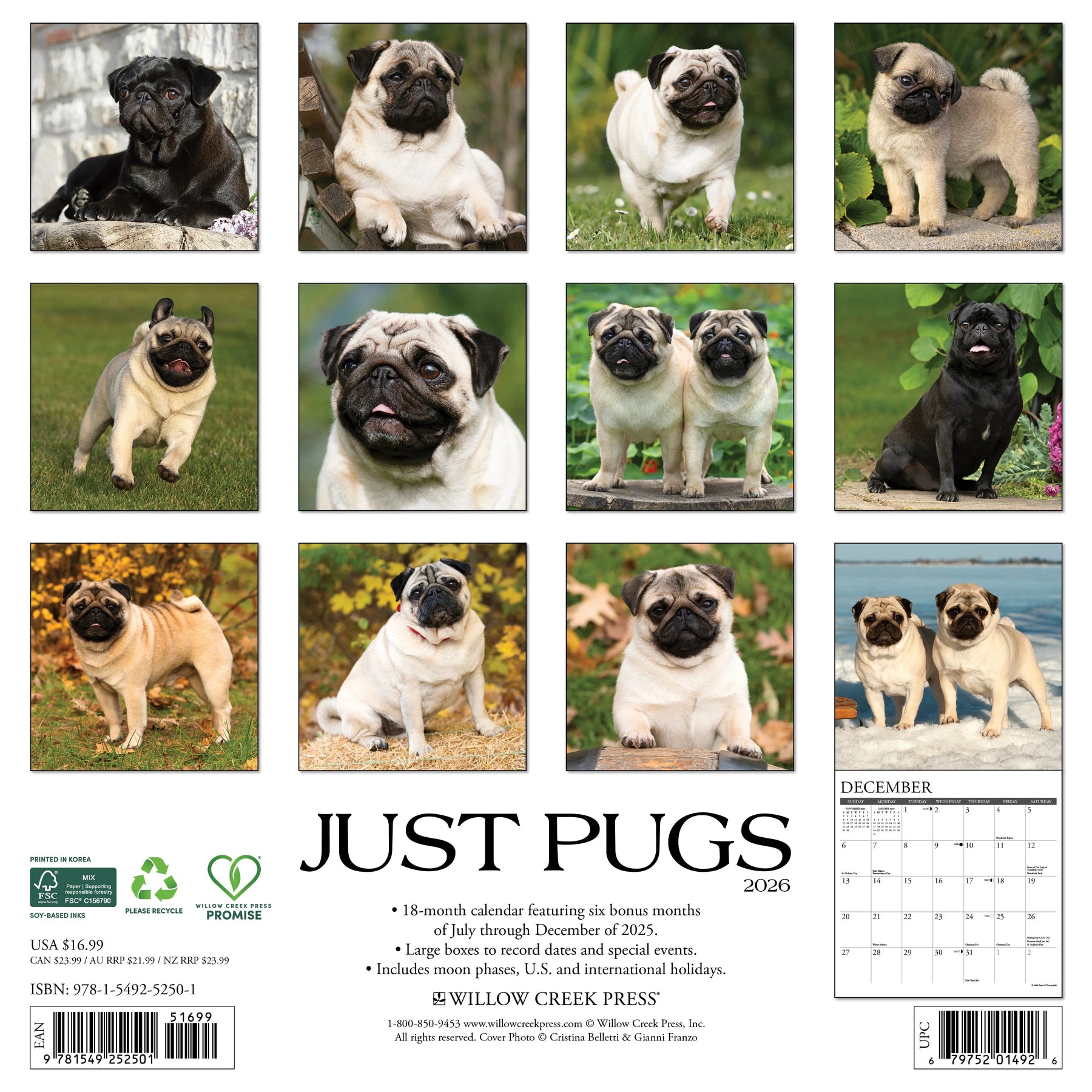 Willow Creek Press - 2026 Pugs Calendar