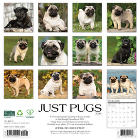 Willow Creek Press - 2026 Pugs Calendar