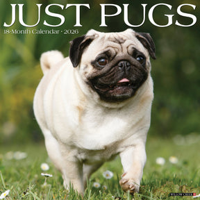 Willow Creek Press - 2026 Pugs Calendar