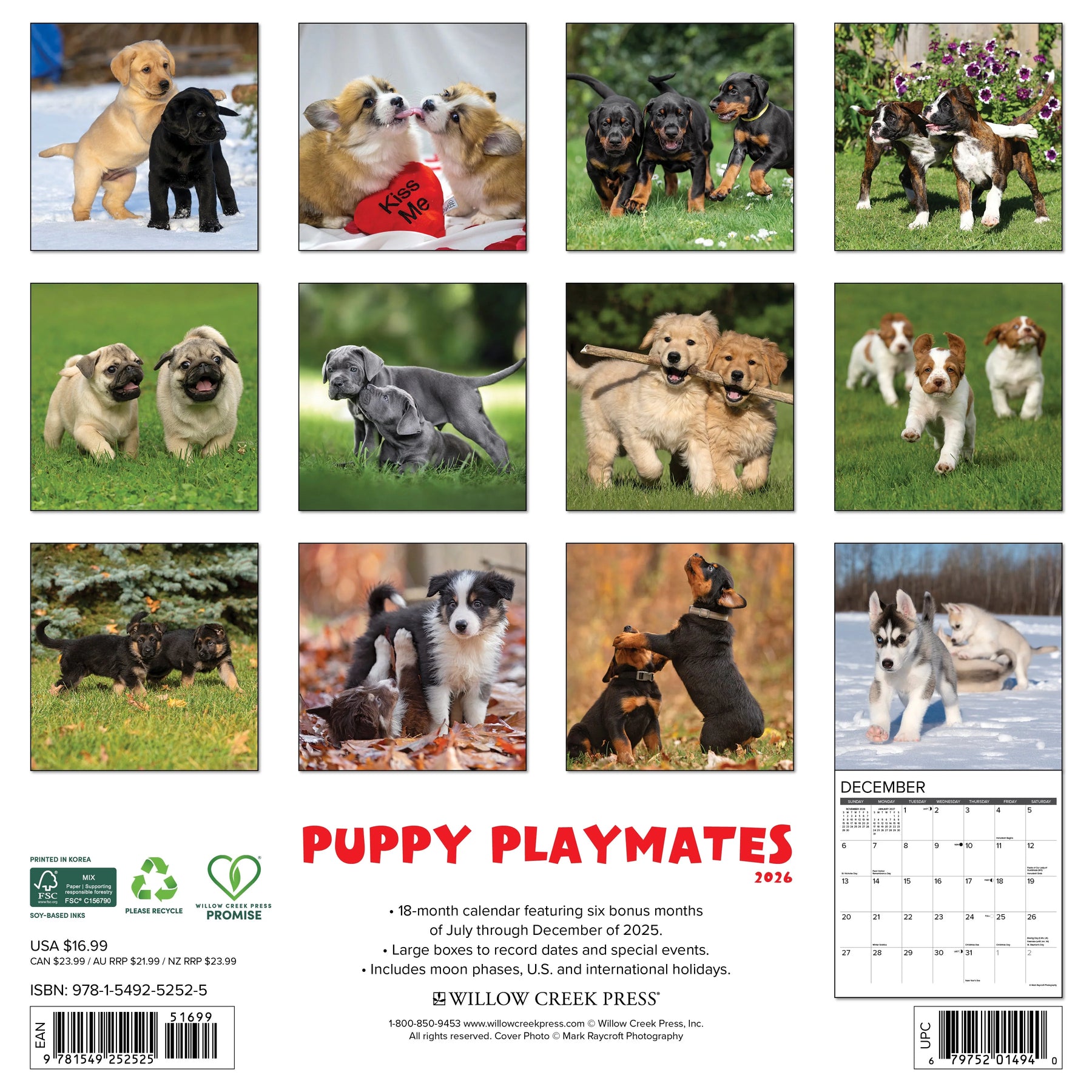 Willow Creek Press - 2026 Puppy Playmates Calendar