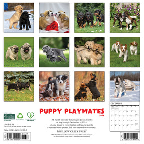 Willow Creek Press - 2026 Puppy Playmates Calendar