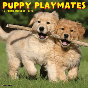 Willow Creek Press - 2026 Puppy Playmates Calendar