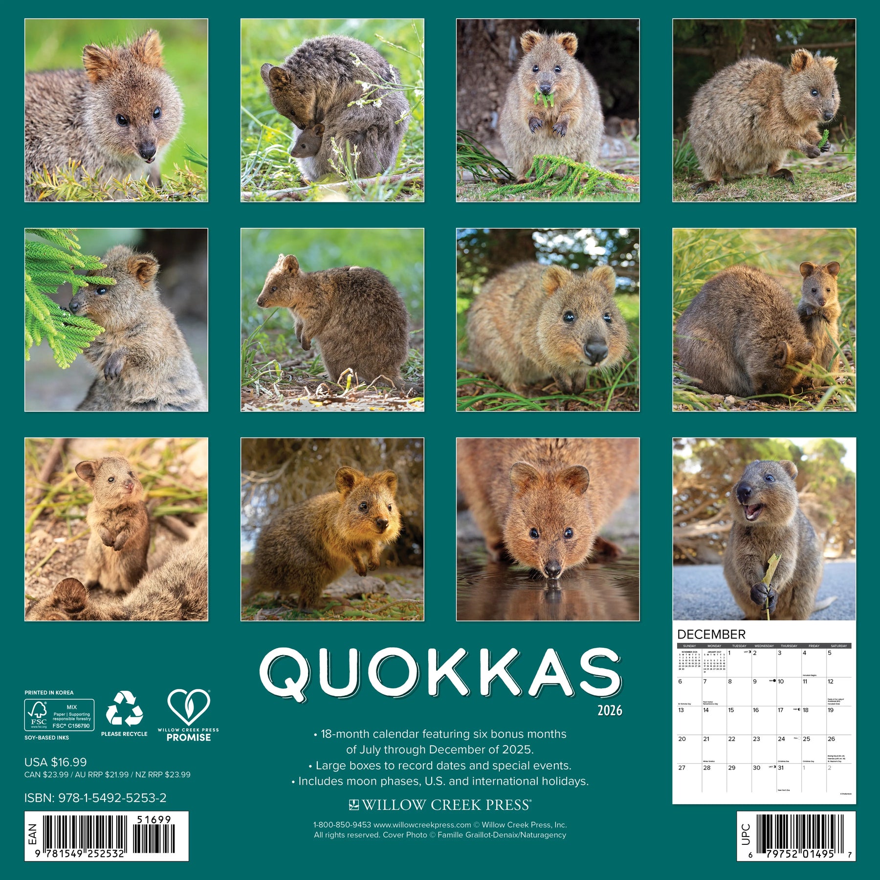 Willow Creek Press - 2026 Quokkas Calendar