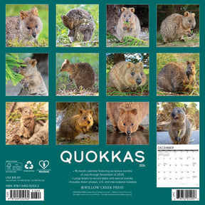 Willow Creek Press - 2026 Quokkas Calendar
