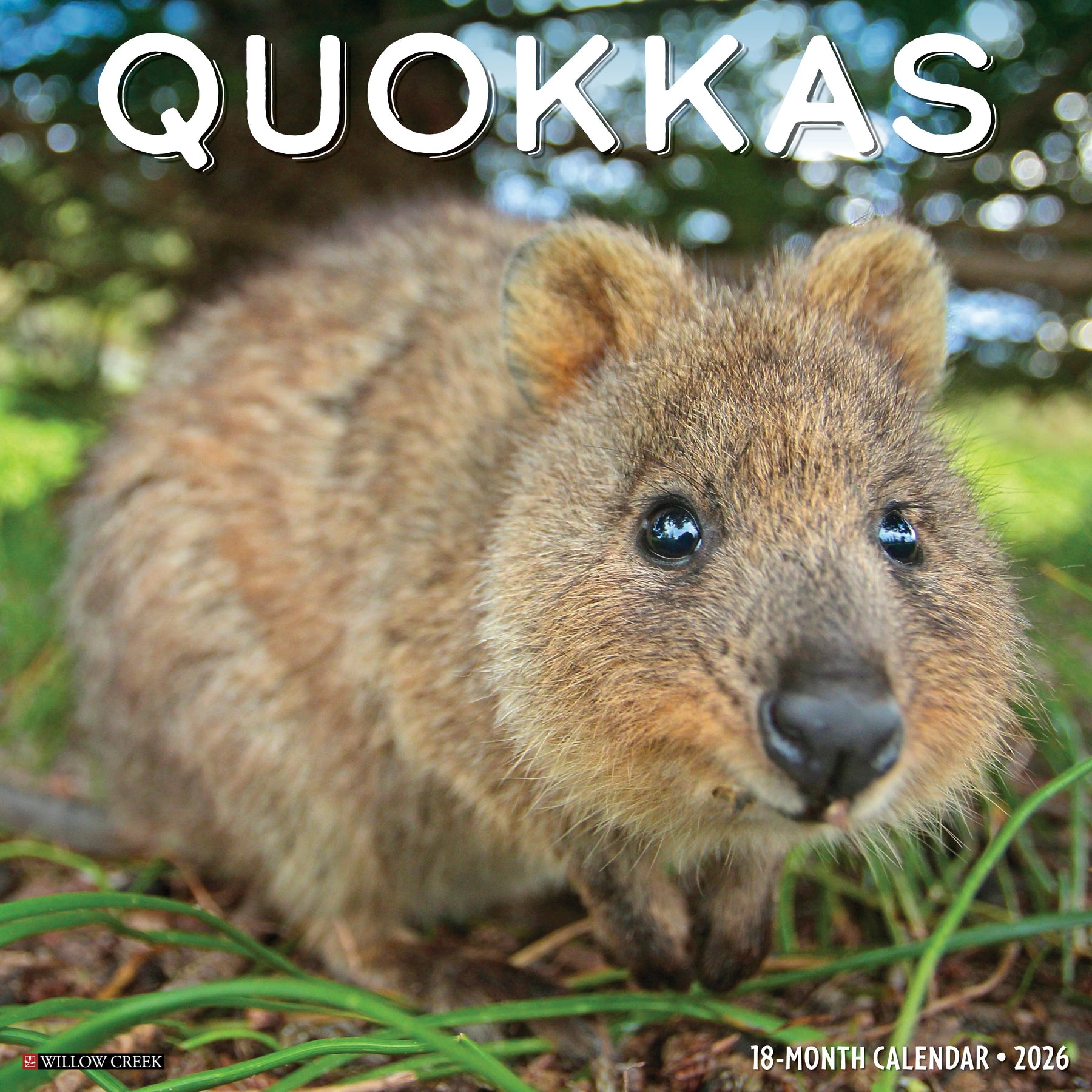 Willow Creek Press - 2026 Quokkas Calendar