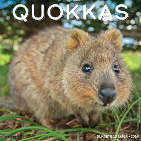 Willow Creek Press - 2026 Quokkas Calendar