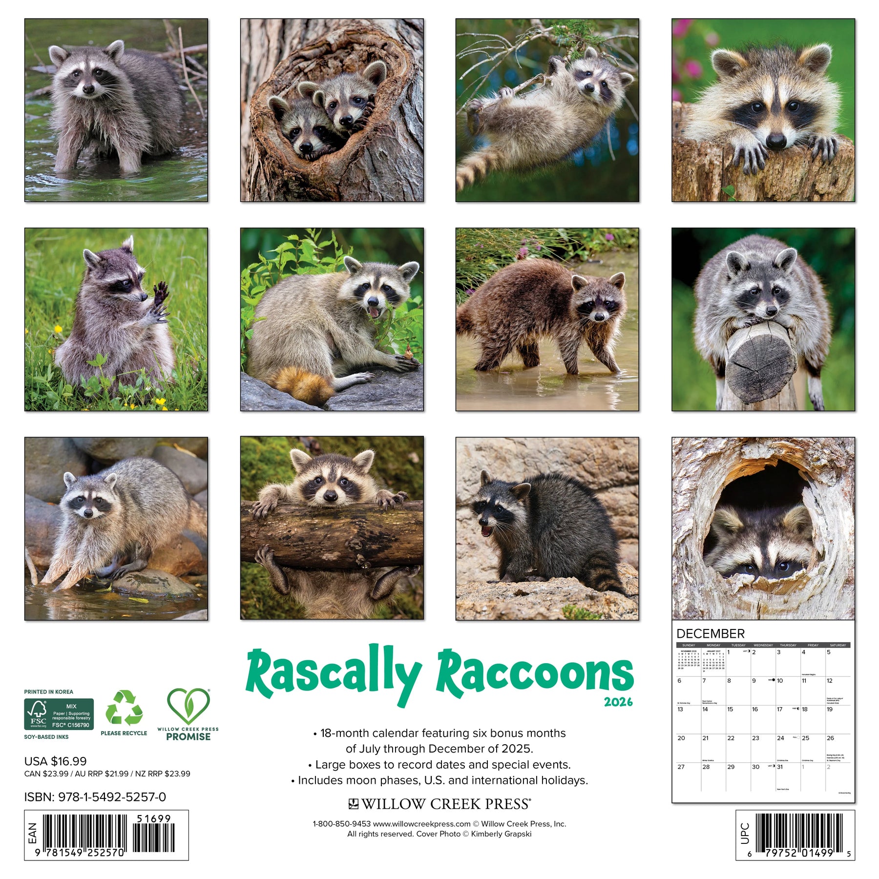 Willow Creek Press - 2026 Rascally Raccoons Calendar
