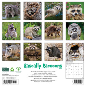 Willow Creek Press - 2026 Rascally Raccoons Calendar