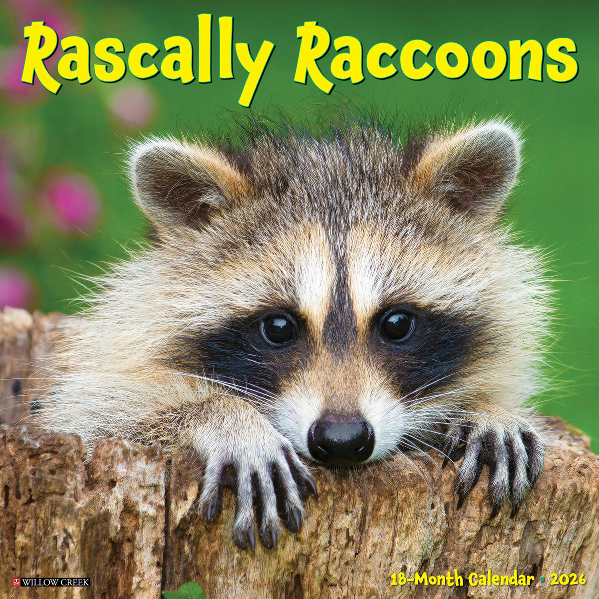 Willow Creek Press - 2026 Rascally Raccoons Calendar
