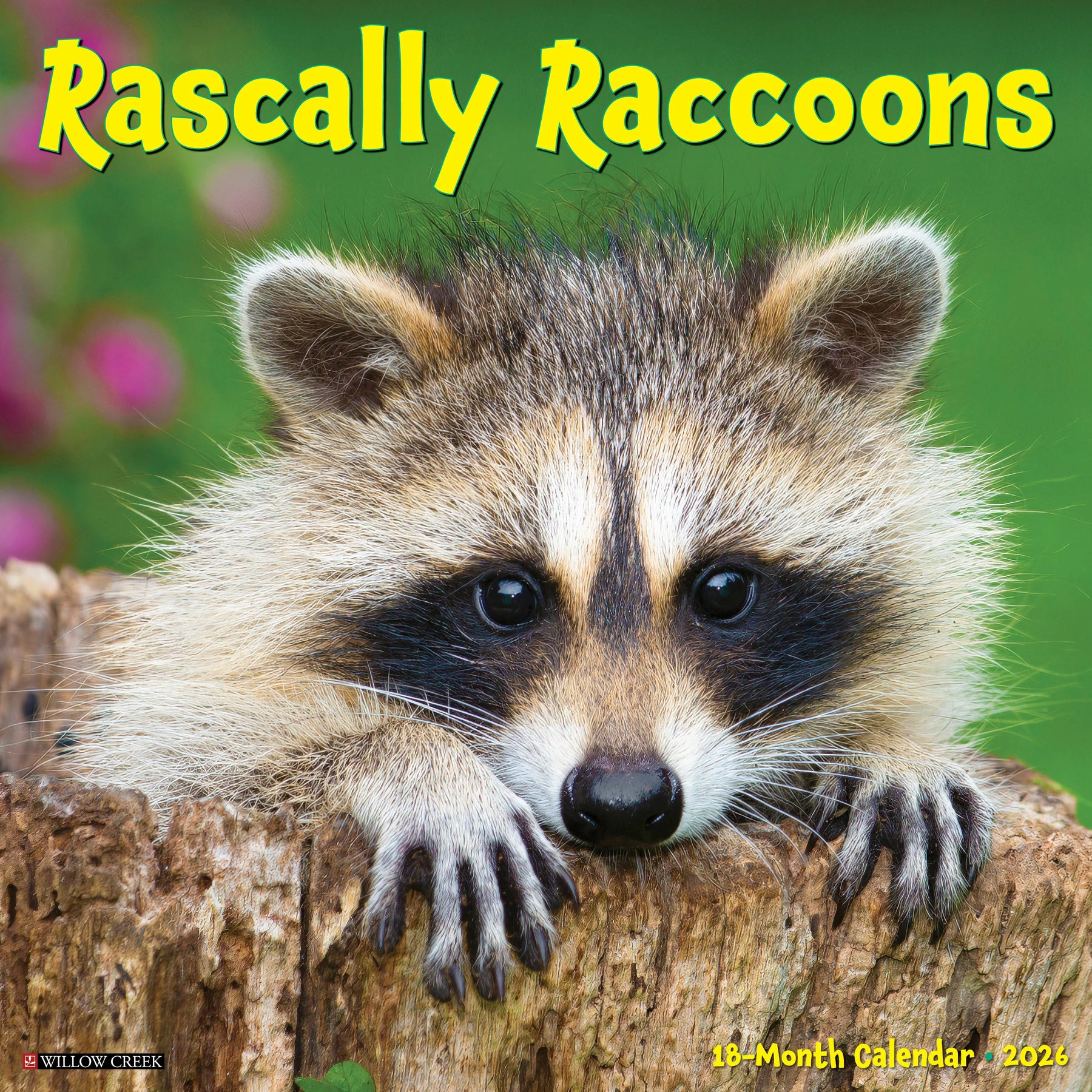 Willow Creek Press - 2026 Rascally Raccoons Calendar