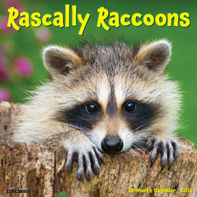 Willow Creek Press - 2026 Rascally Raccoons Calendar