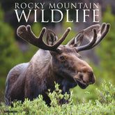 Willow Creek Press - 2026 Rocky Mountain Wildlife Calendar
