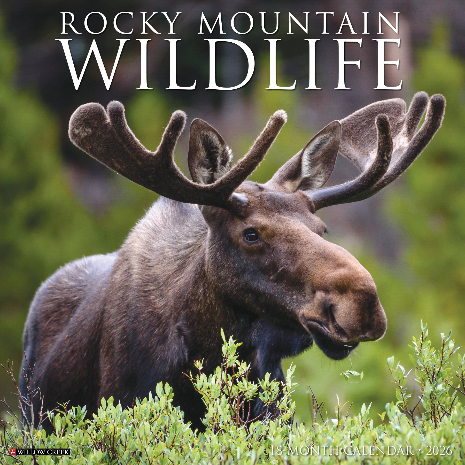 Willow Creek Press - 2026 Rocky Mountain Wildlife Calendar