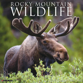 Willow Creek Press - 2026 Rocky Mountain Wildlife Calendar