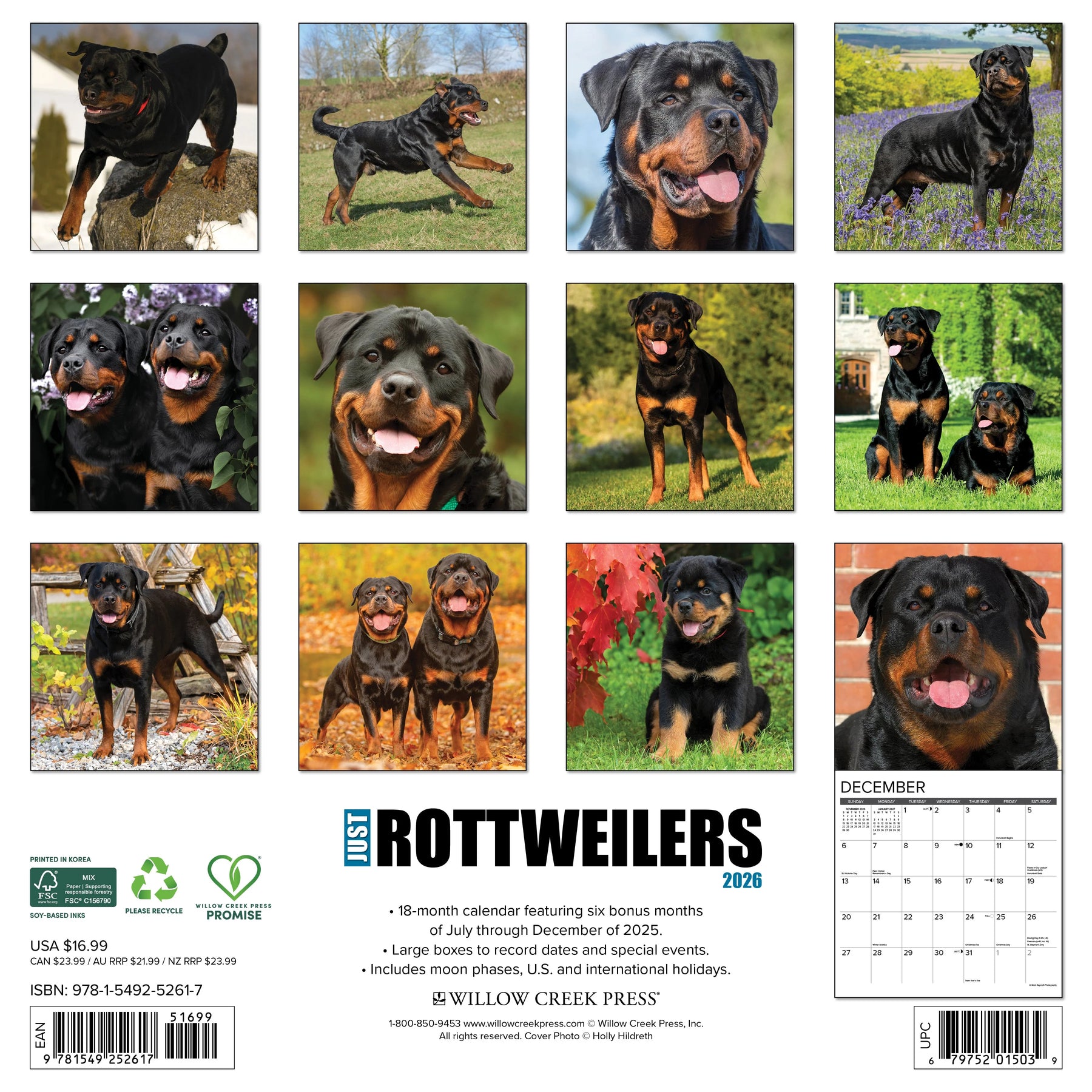 Willow Creek Press - 2026 Rottweiler Puppies Calendar