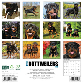Willow Creek Press - 2026 Rottweiler Puppies Calendar