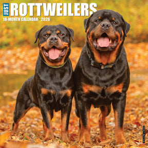 Willow Creek Press - 2026 Rottweiler Puppies Calendar